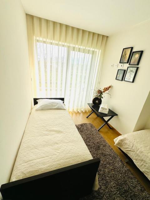 Appartamento Casa Do Carvalho - Ponte De Lima Esterno foto