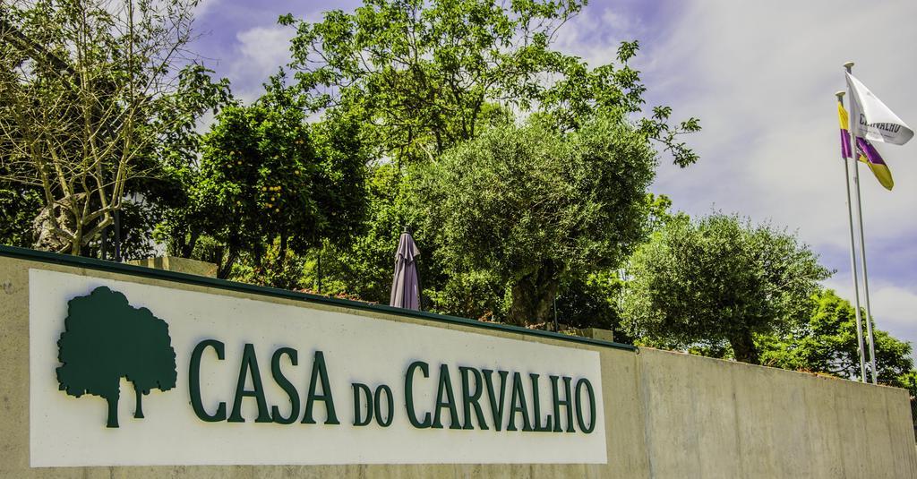 Appartamento Casa Do Carvalho - Ponte De Lima Esterno foto
